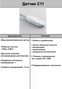 C11