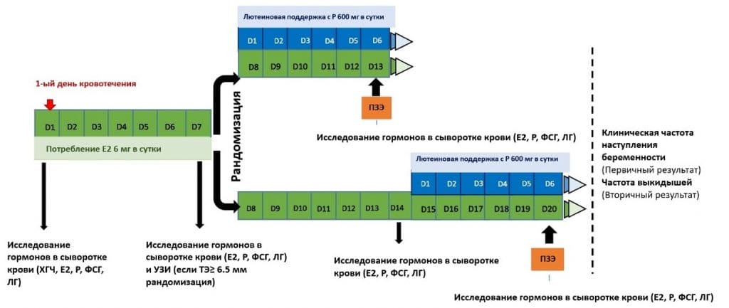 Клиническая частота начала беременности - Рисунок1