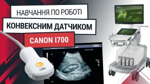 Конвексний датчик до Canon Aplio i700 – навчання та функції - Новини RH